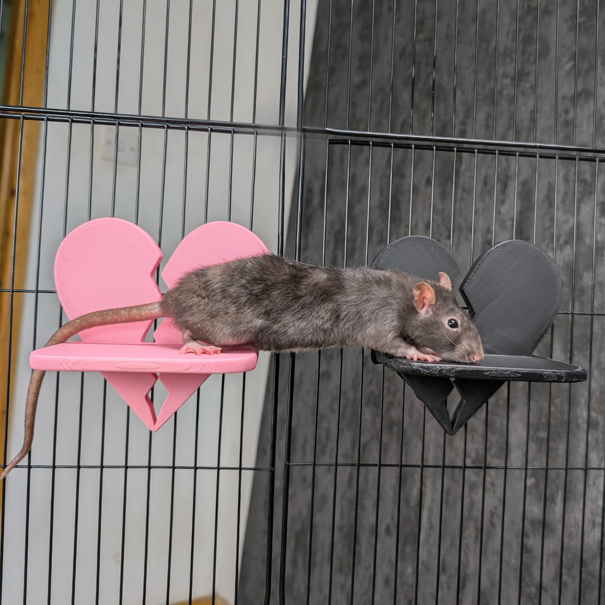 Broken Heart Rat Cage Shelf Set