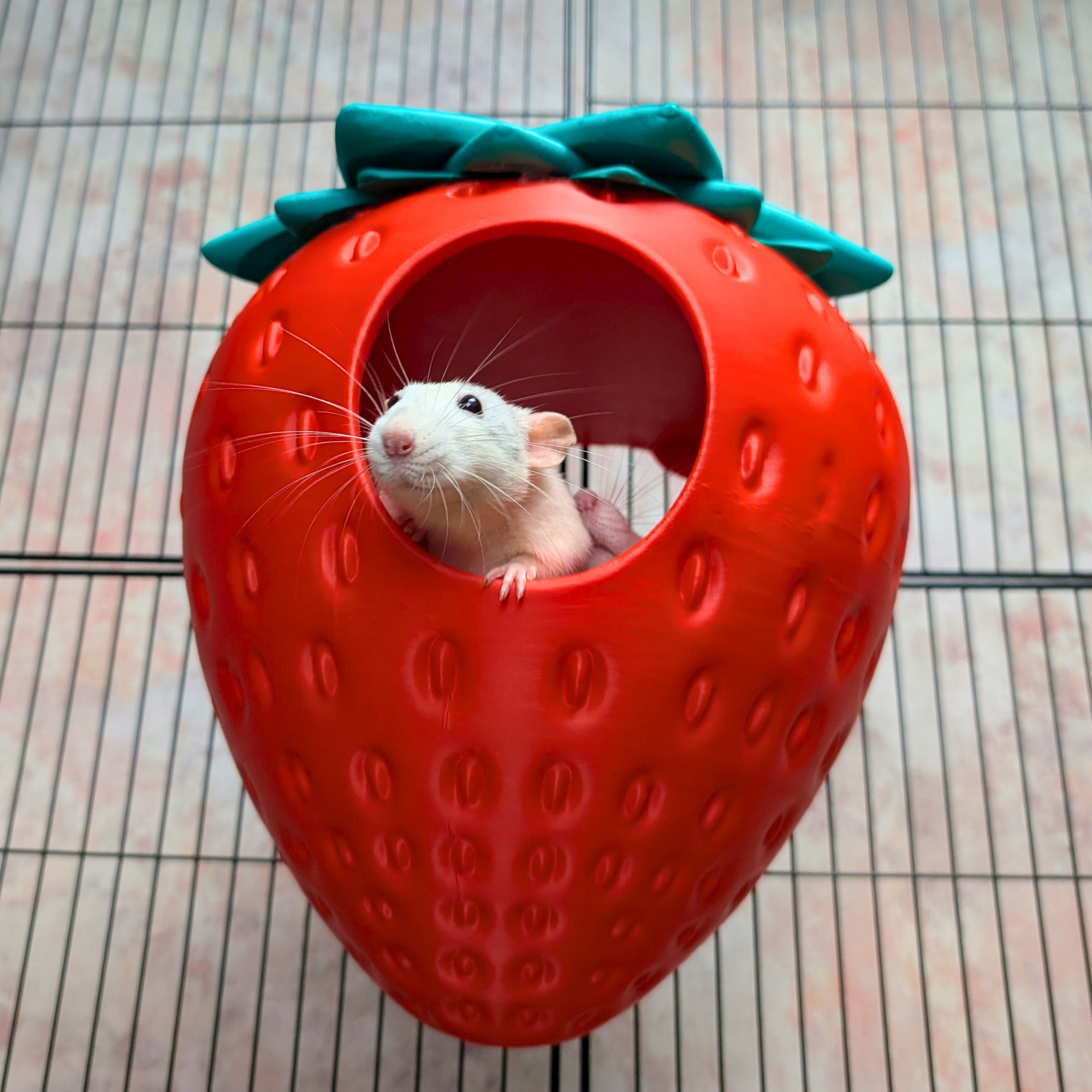 Strawberry Pet Bed & Cute Cage Accessory