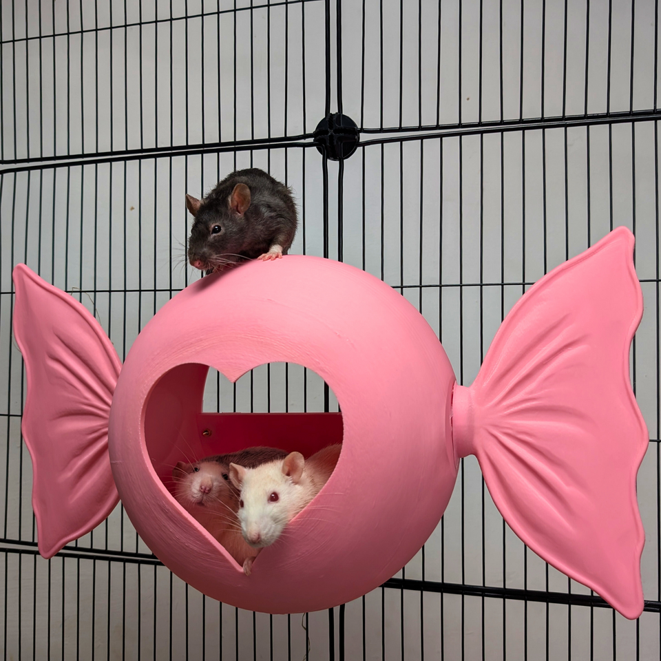 Sweetheart Hideaway lifestyle context shot