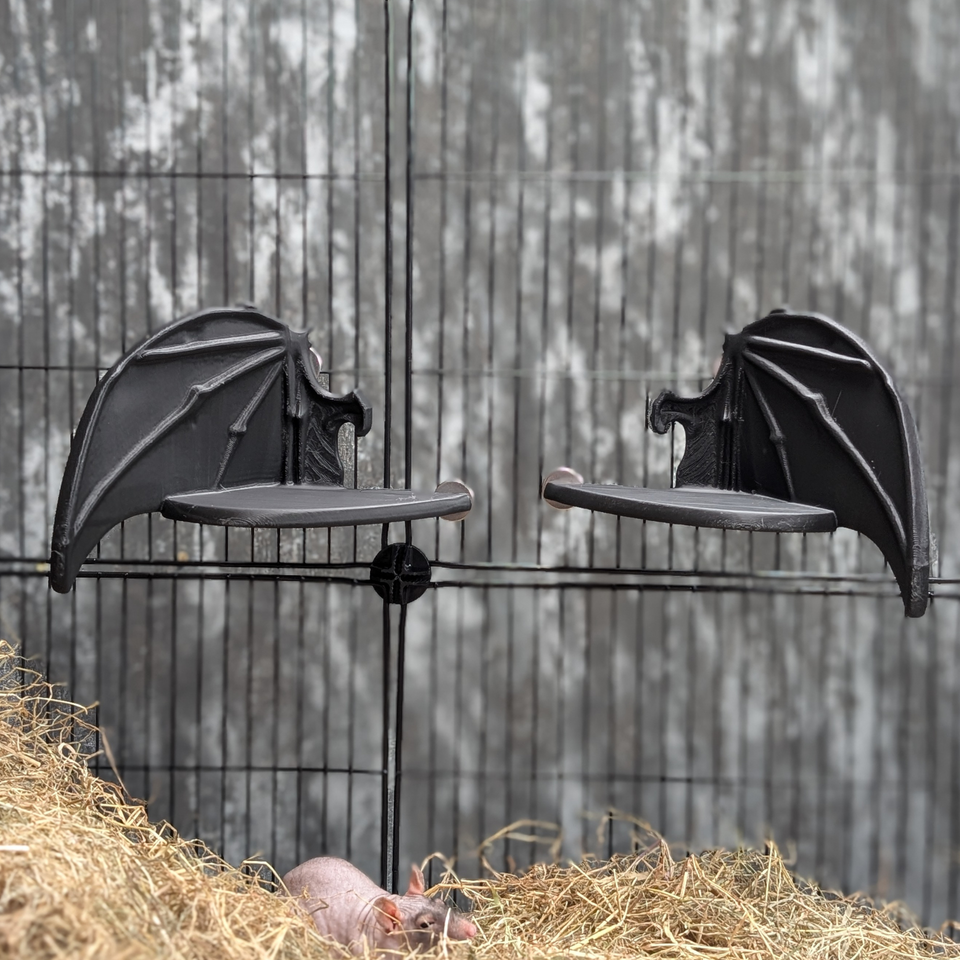 Gothic Bat Wing Rat Cage Shelf Perch lifestyle context shot