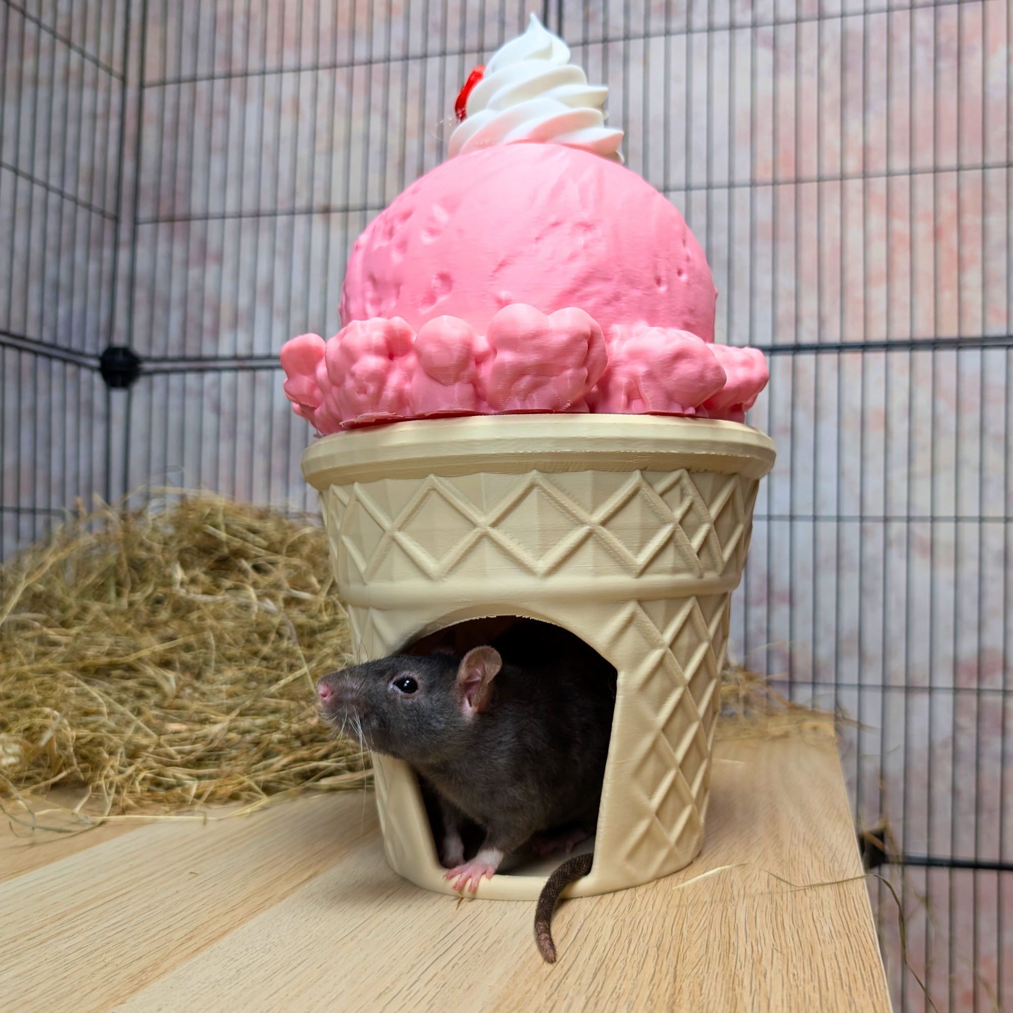 Strawberry Ice Cream Cone Cave for Cage