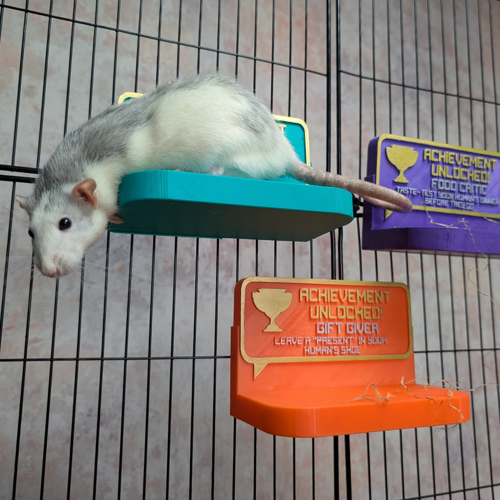 Cute Rat Toy & Custom Shelf