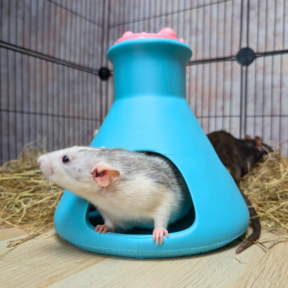 Rat House product packaging and presentation