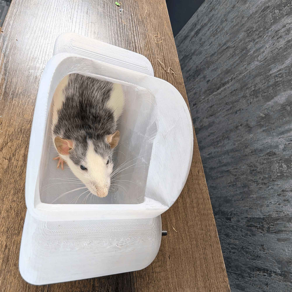 Cloud Rat Shelves & Hideaway