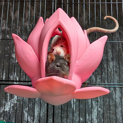 Cute Lily Rat Bed & Hide Set