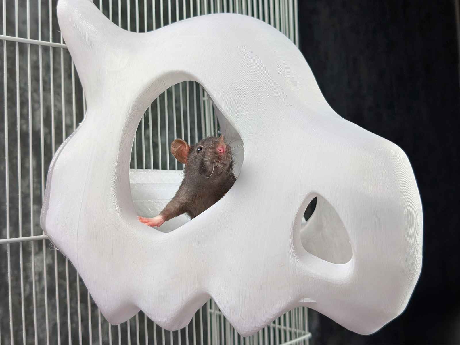 Gothic Skull Rat Hideout & Hanging Nest