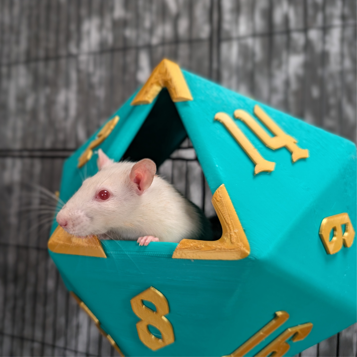 D20 Dice Rat Hide top-down view showing interior