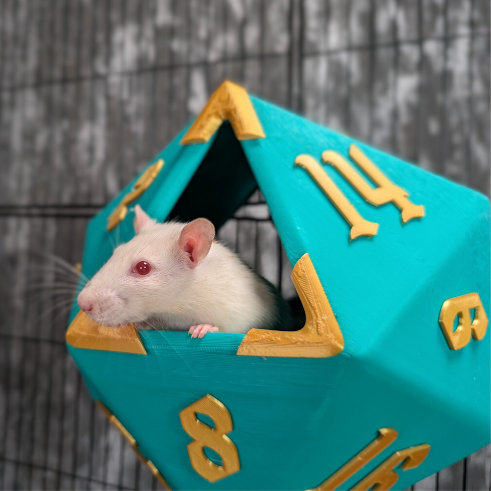 D20 Dice Rat Hide top-down view showing interior