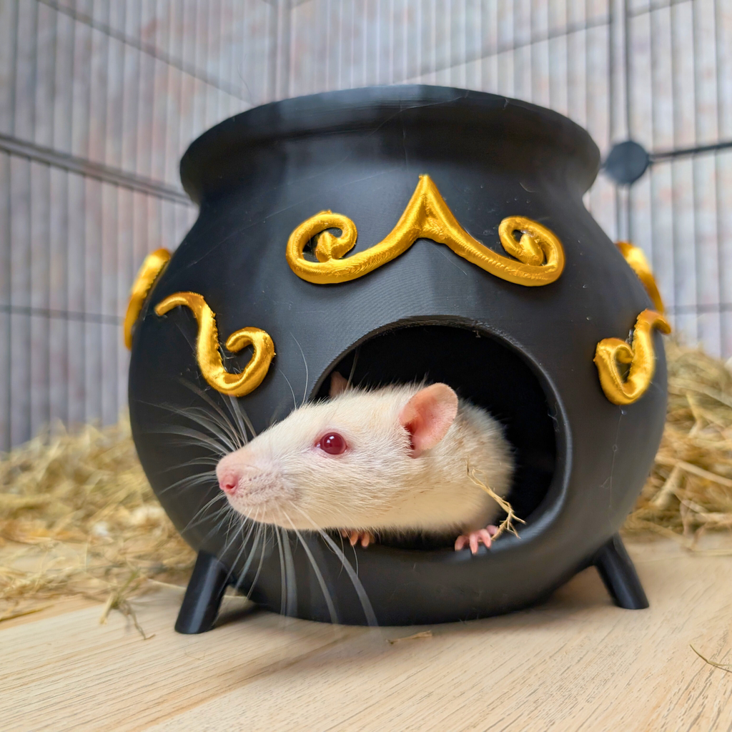 3-Piece Witch Enrichment Set