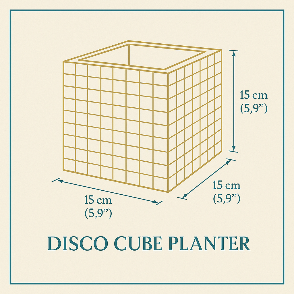 Disco Cube Planter