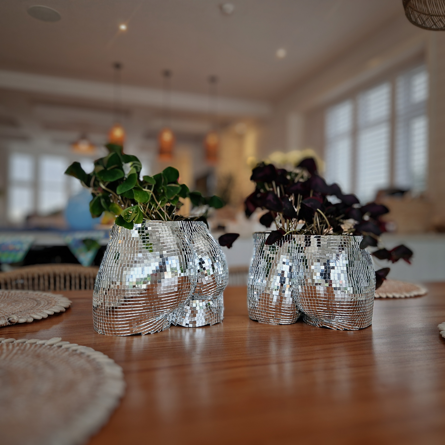 Disco Duo Mirror Planters