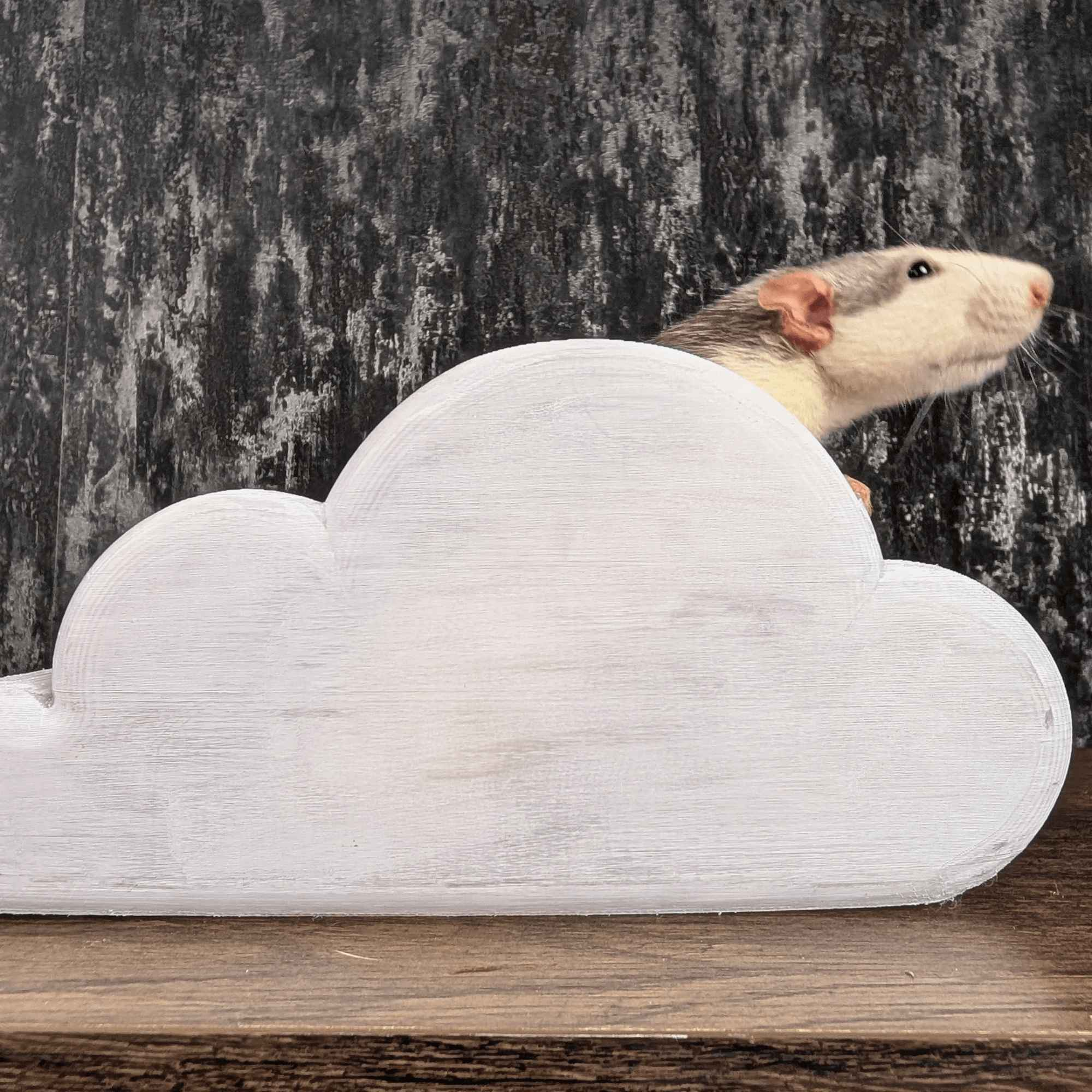 Cloud Rat Shelves & Hideaway