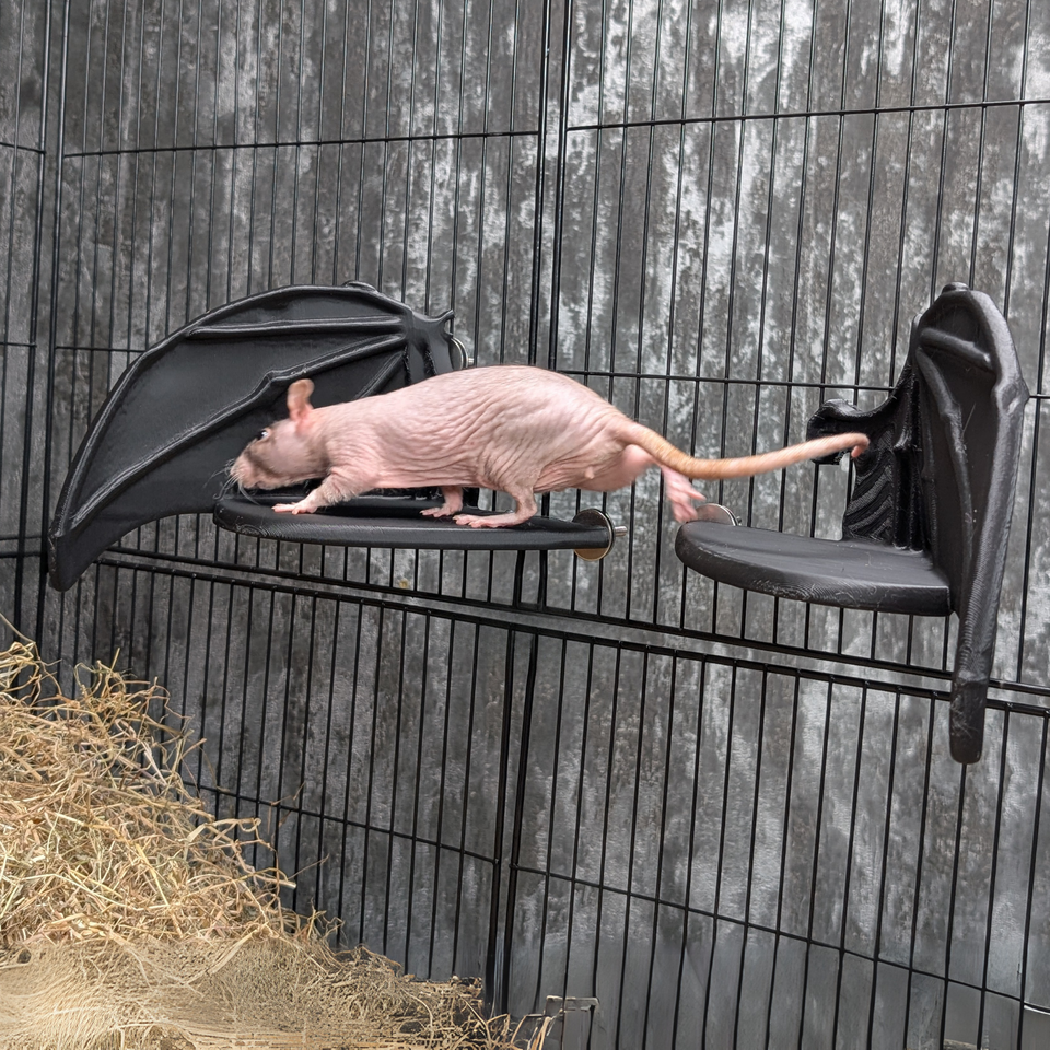 Gothic Bat Wing Rat Cage Shelf Perch mounted on cage bars