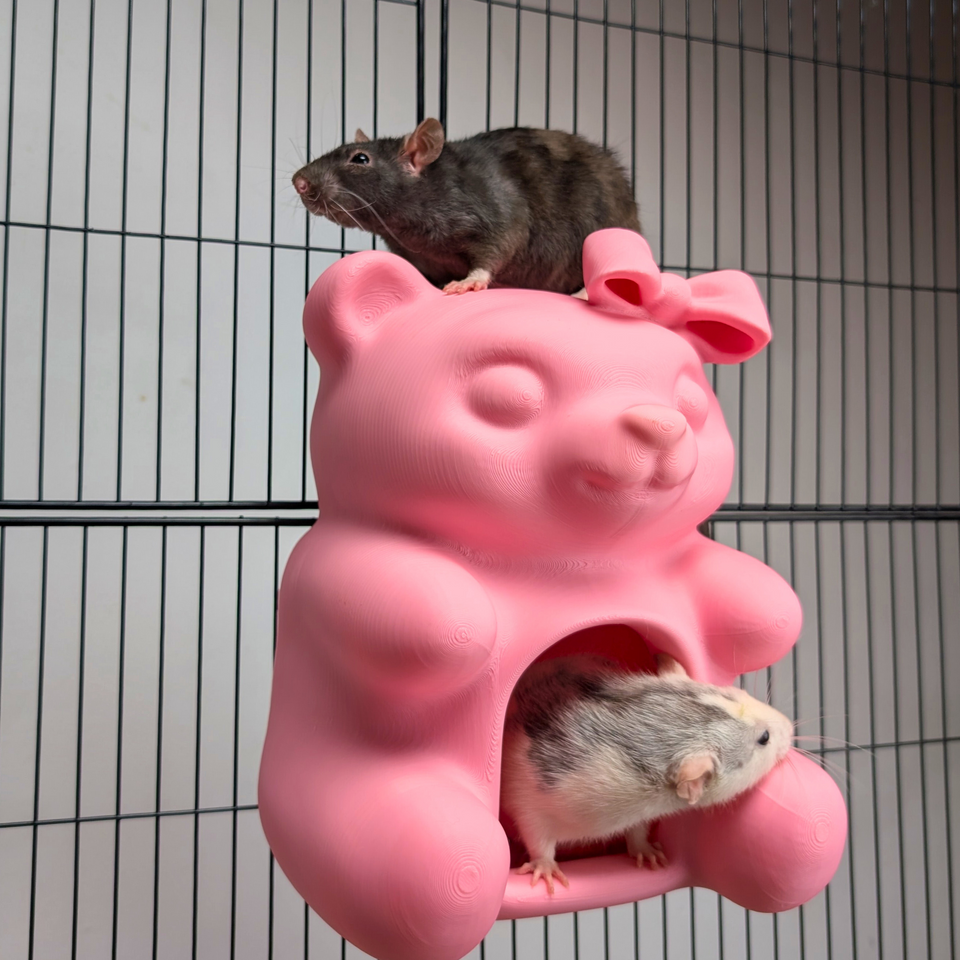 Cute Sweet Bear Rat Hide & Bed additional angle showing colour accuracy