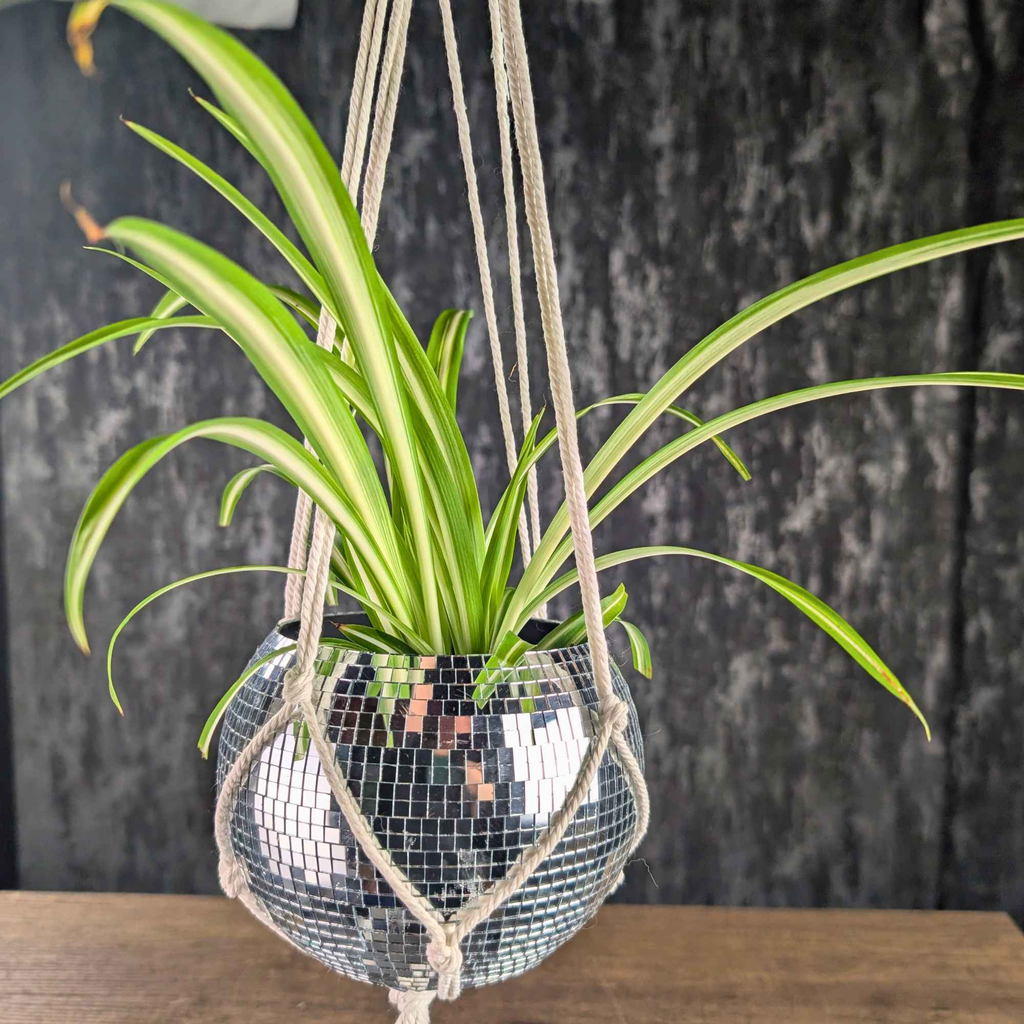 Disco Ball Hanging Planter