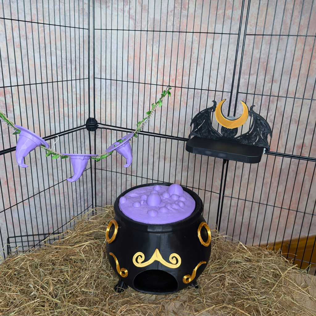 3-Piece Witch Enrichment Set