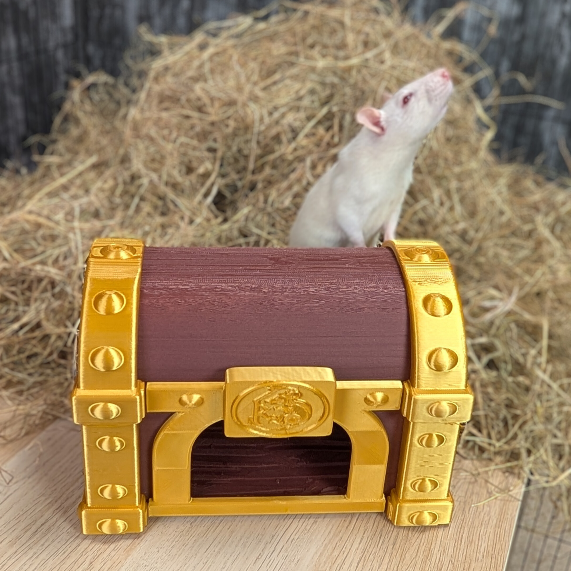 Treasure Chest Rat Hide