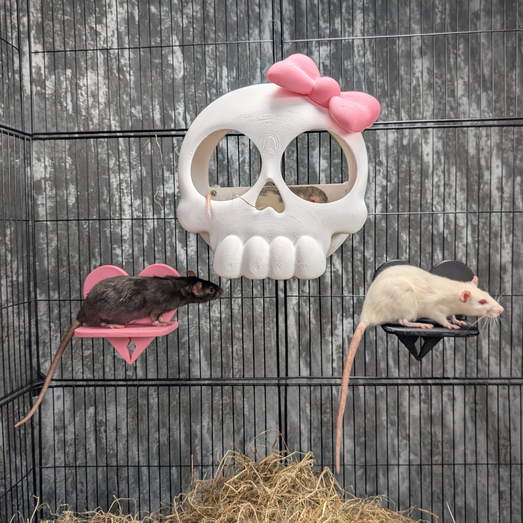 Broken Heart Rat Cage Shelf Set