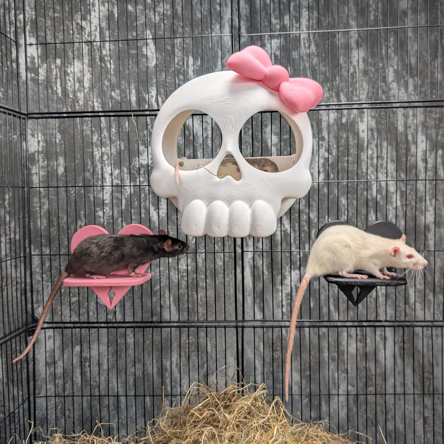 Broken Heart Rat Cage Shelf Set