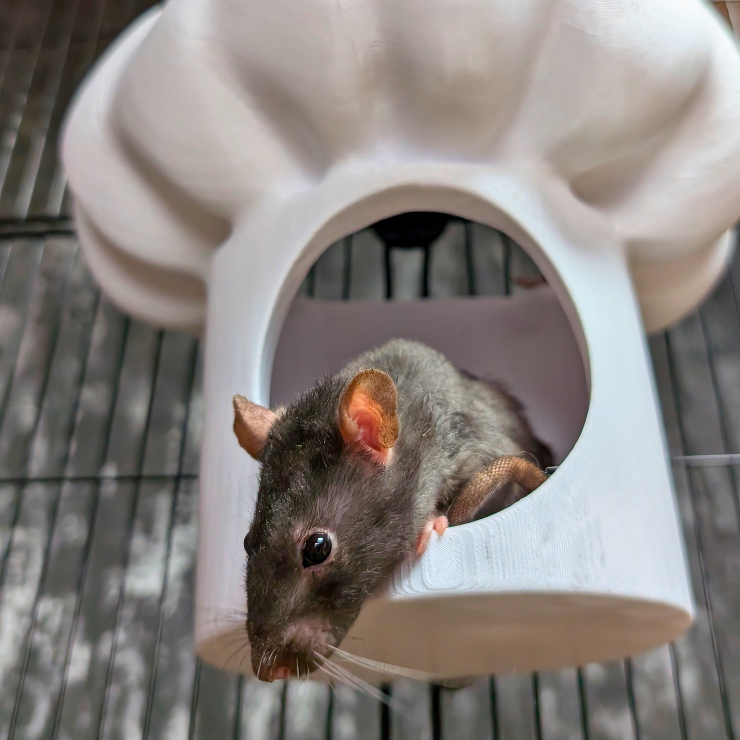 Chef Hat Rat Hide & Bed