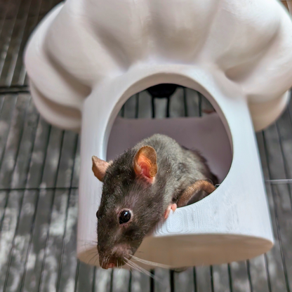 Chef Hat Rat Hide & Bed