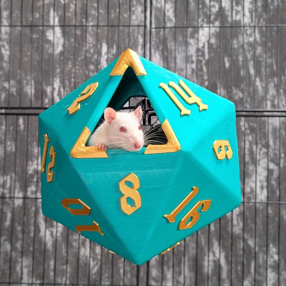 D20 Dice Rat Hide front view showing entrance