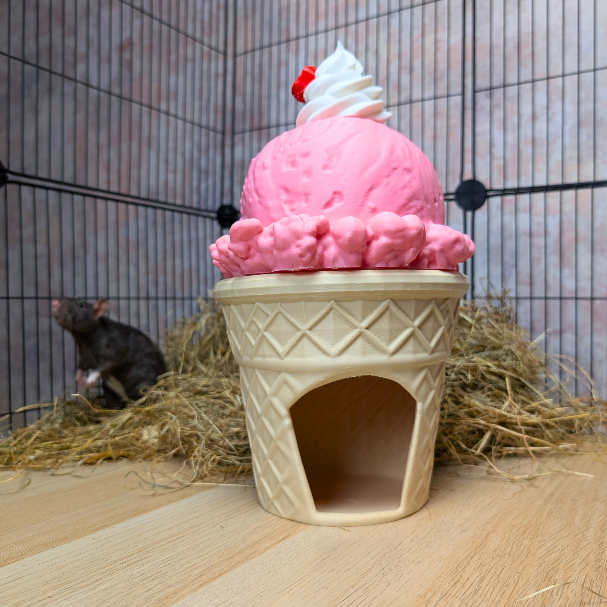 Strawberry Ice Cream Cone Cave for Cage