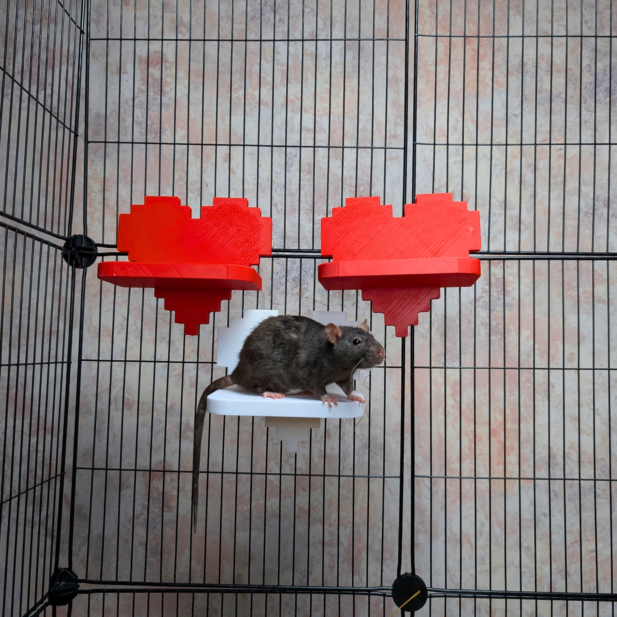 Pixel Heart Cage Shelves
