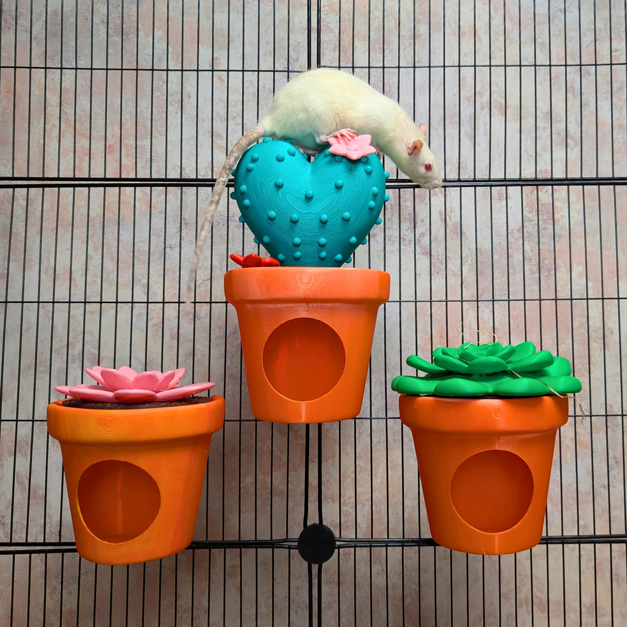 Rat Hide Cactus Pot | 3D Printed Small Animal House