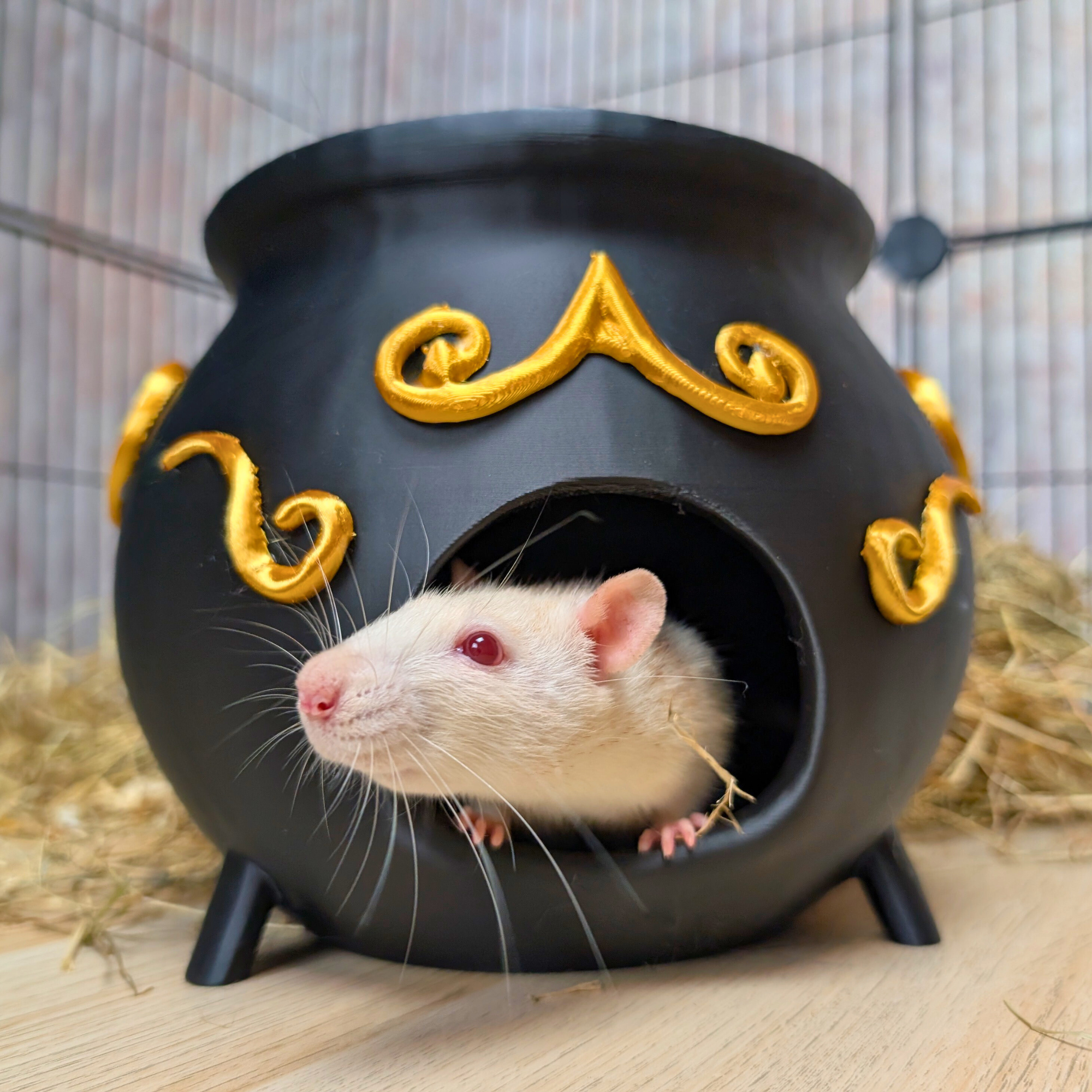 Rat Hide Witch Cauldron