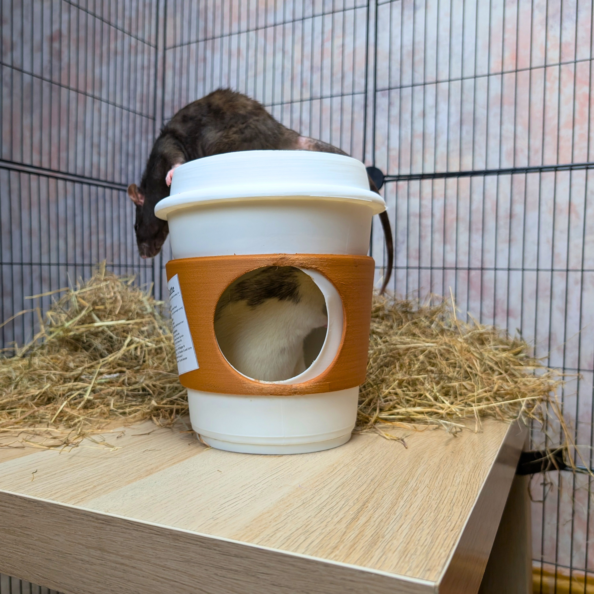 Rat Hide Coffee Cup