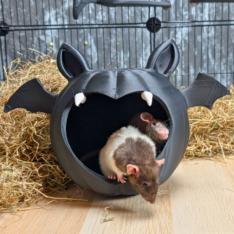 Cute Kawaii Bat Goth Hide Cave front view showing entrance