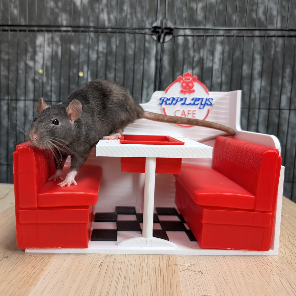 Rat Diner — scale reference — shown with plant