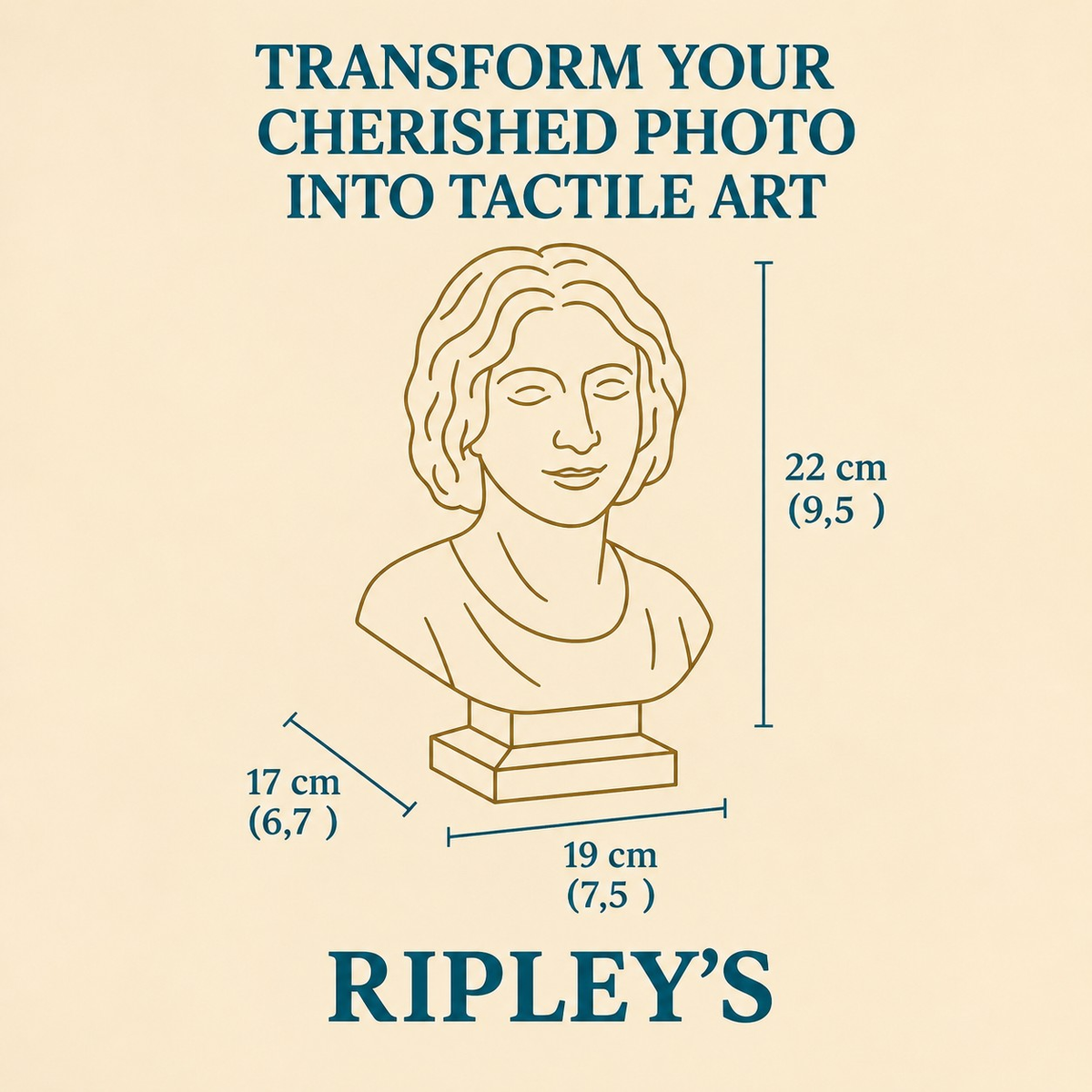 Custom portrait bust diagram showing 22 cm height, 19 cm width and 17 cm depth