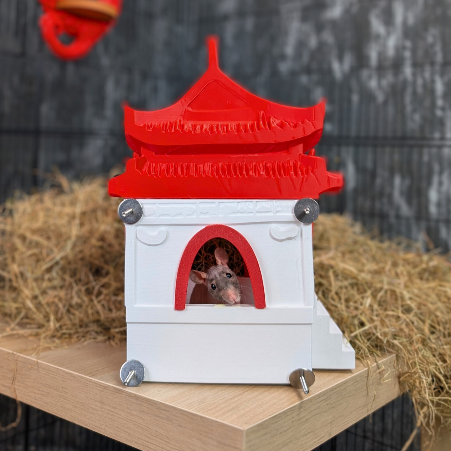 Chinese Temple Rat Hide