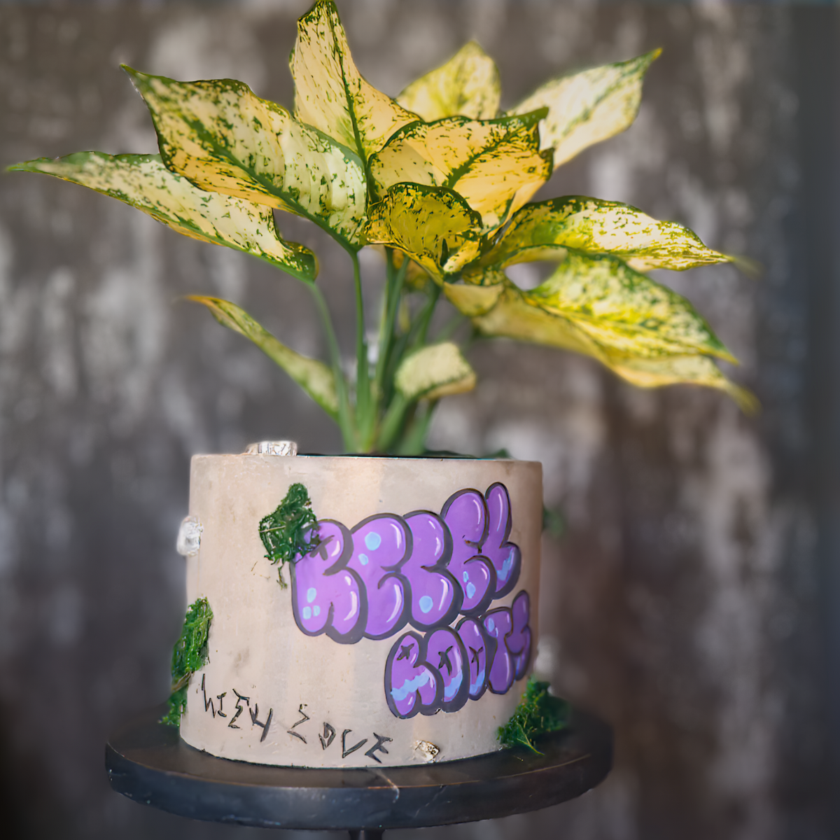 Urban Canvas Planter lifestyle context shot