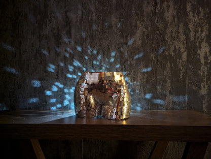 Disco Duo Mirror Planters