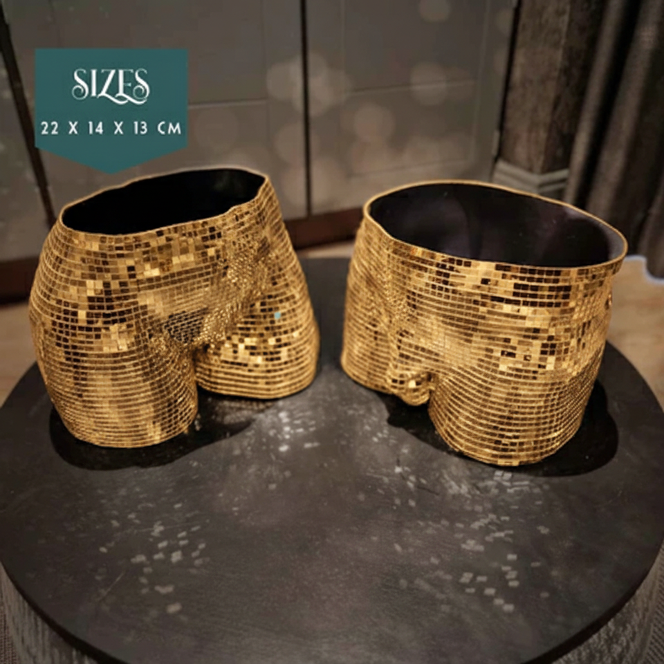 The Disco Duo Mirror Planters complementary styling arrangement