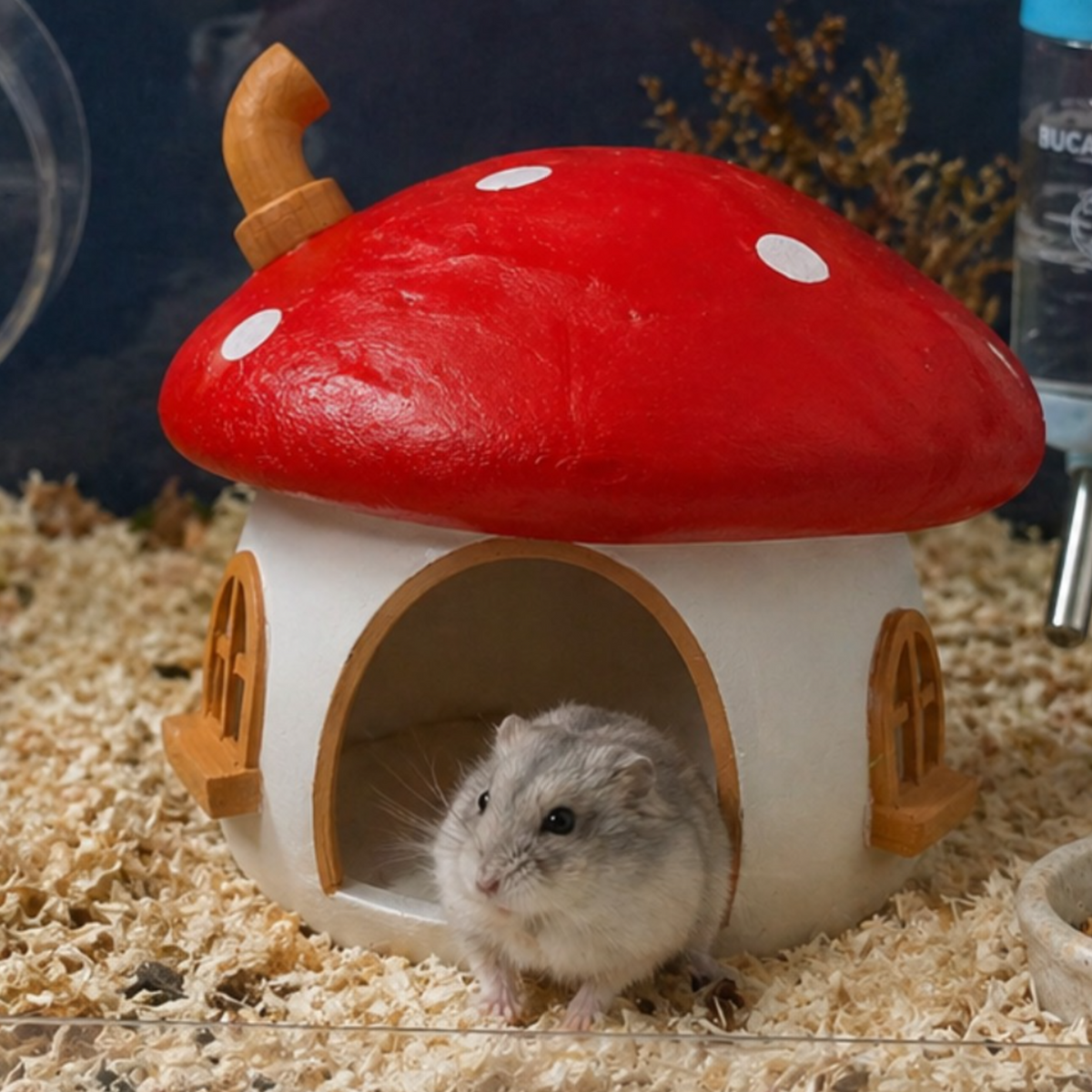 Close view of the red mushroom roof and arched doorway on the hamster hide