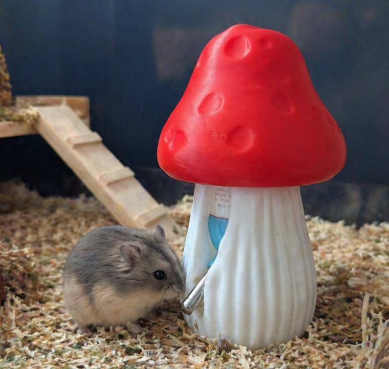 Fairy mushroom hamster water bottle holder in an indoor cage with a hamster drinking from the spout