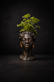 The Florid Chiaroscuro | Cast Stone Bust Planter - main product photo | Ripleys Nest