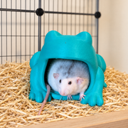 A pale rat peeks from a turquoise frog-shaped hide on a straw-covered shelf.