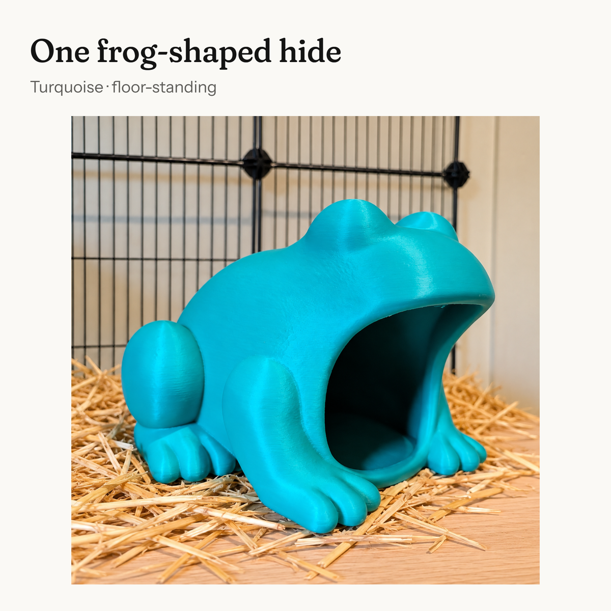 Contents card showing one turquoise frog-shaped rat hide.