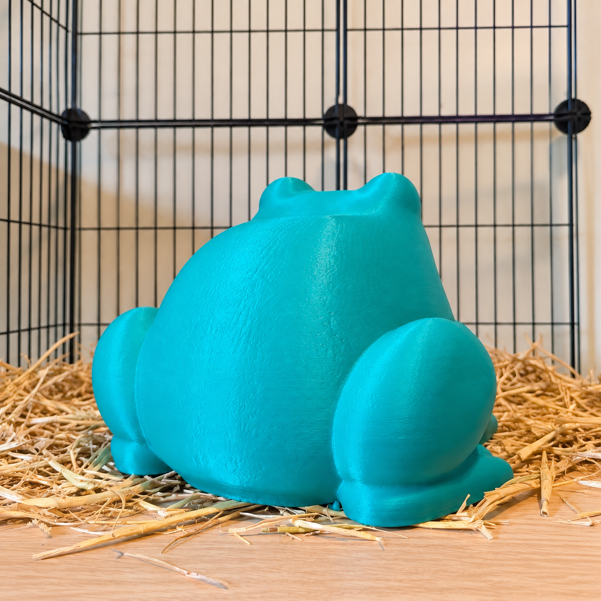 Rear view of the rounded turquoise frog hide and its folded haunches.