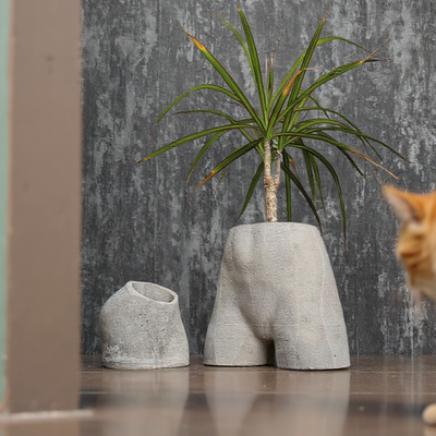 Cheeky Bum Concrete Planter