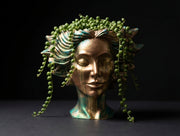 Gold face plant pot front view