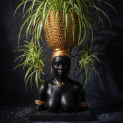 Harvest Goddess cast stone planter with spider plant against a black backdrop