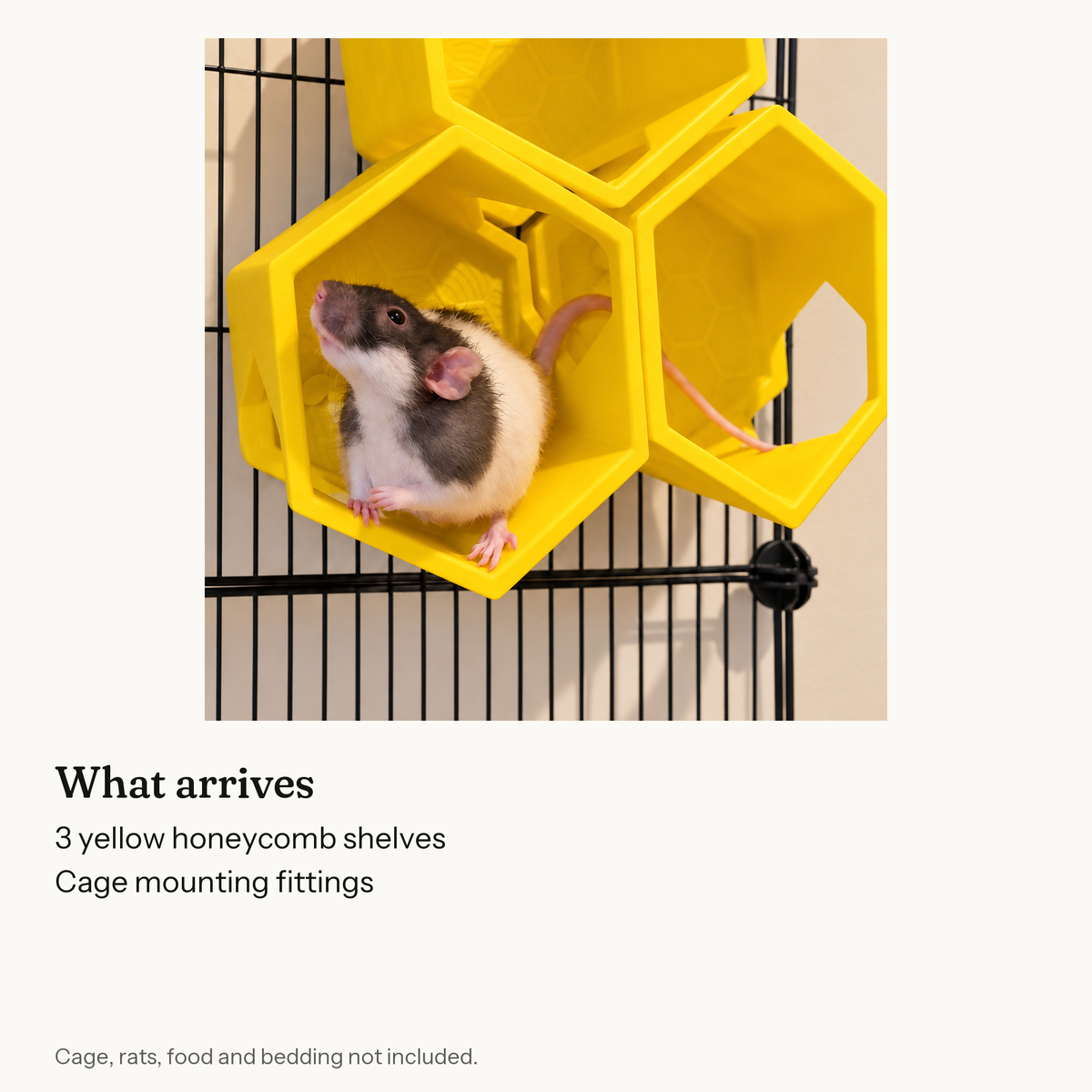 Contents guide for Honeycomb Rat Shelves, Set of Three.