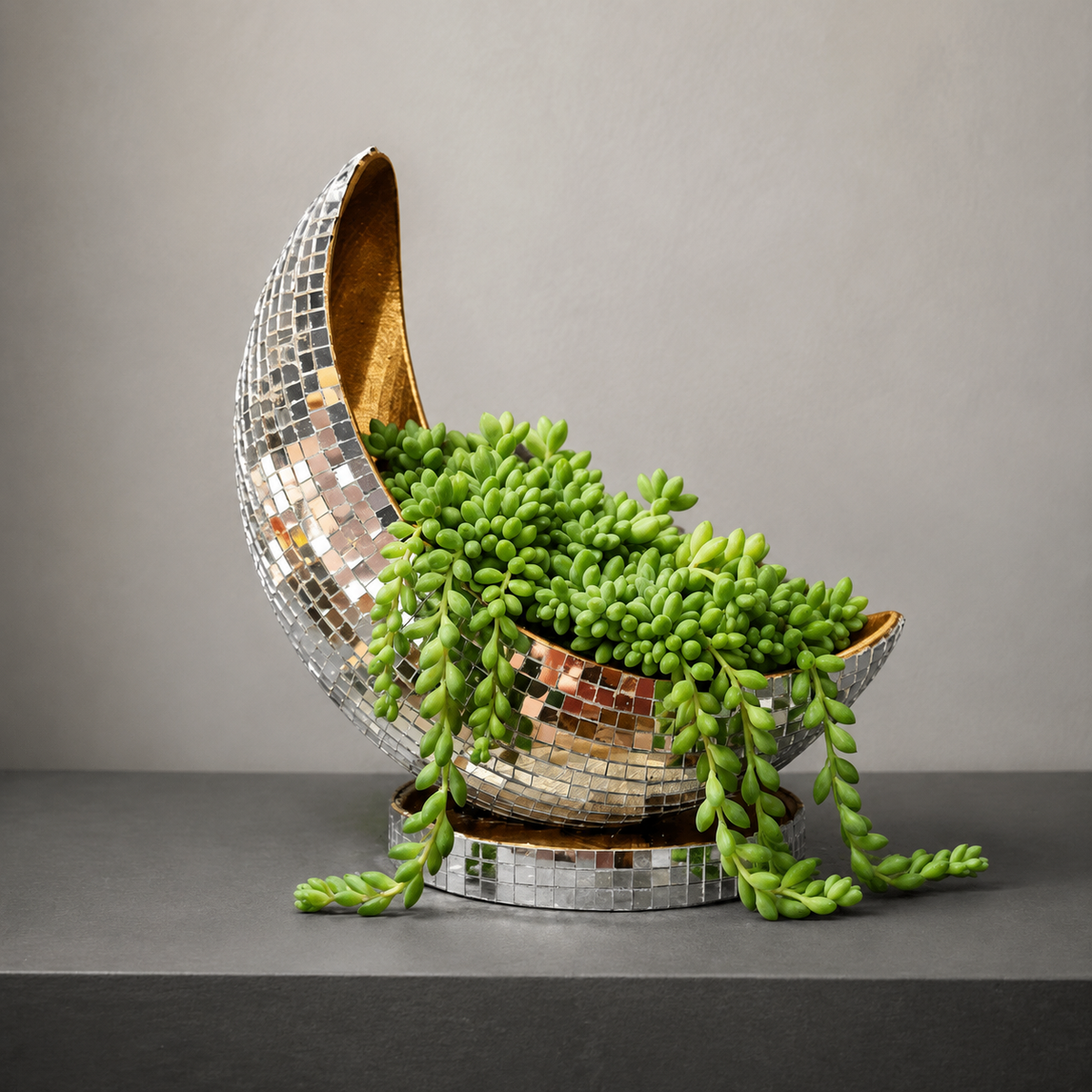 Crescent Moon Disco Ball Planter: crescent mirror planter with small green plant