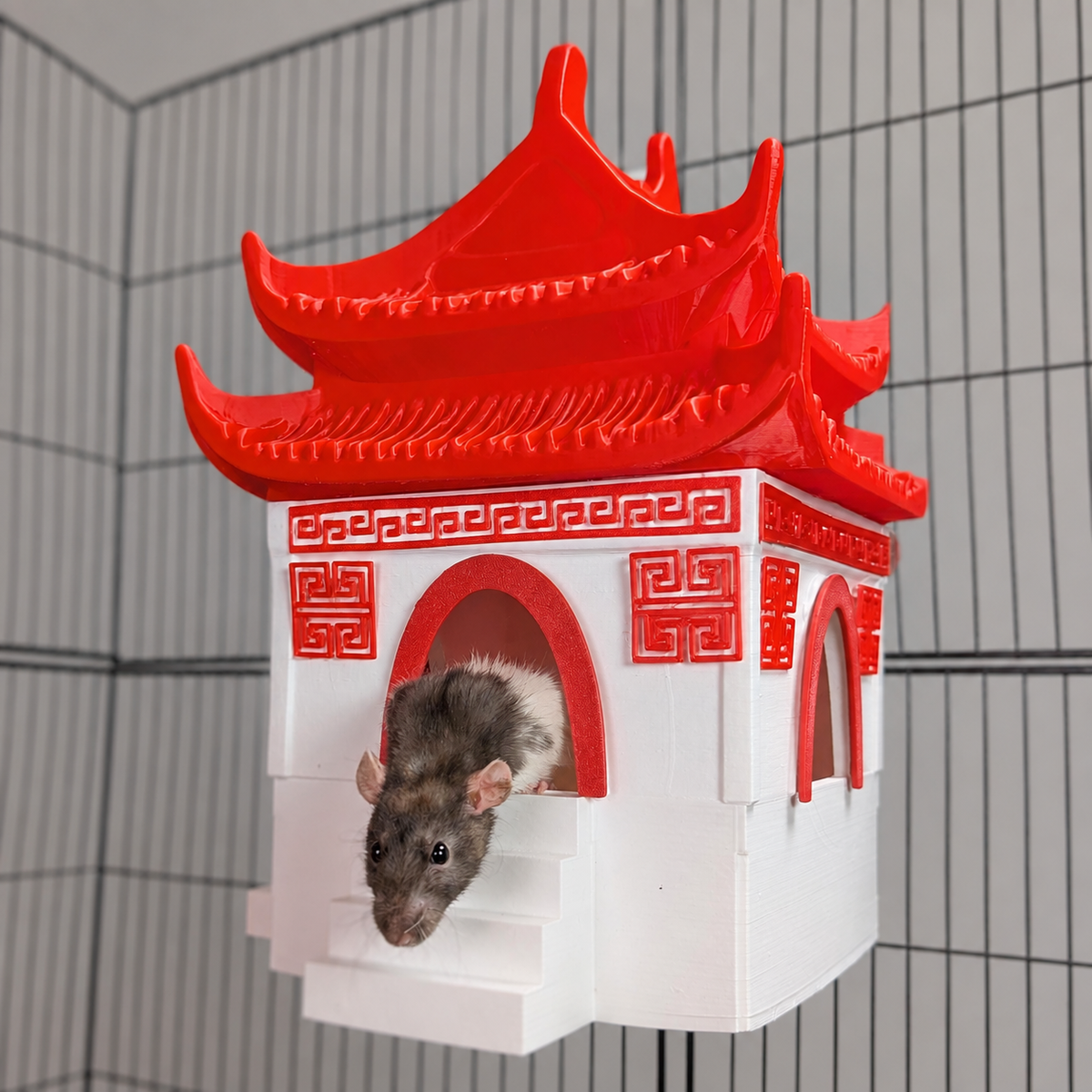 Chinese Temple Rat Hide product hero view